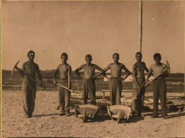 Mladići na radnoj akciji
