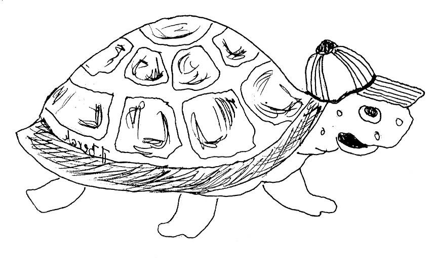 Kornjača
